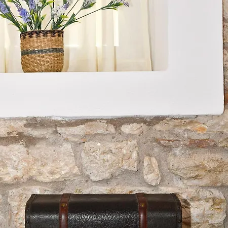 Captain Theo's Modern Maria